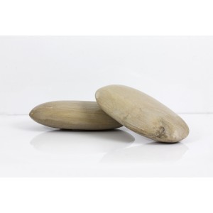 Bois Fossilis�, Navette