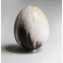 Bois Fossilis� Oeuf