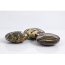 Bois Fossilis�, Galet Calibr�