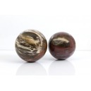 Bois Fossilis�, Boule (Madagascar)